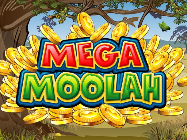 Mega Moolah makes another millionaire!